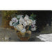 Reproduction of the painting of White Rose Still Life - Joaquín Sorolla