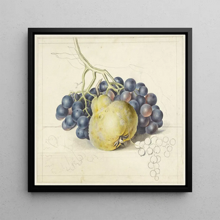 Nature morte avec raisins et une poire - Georgius Jacobus Johannes van Os