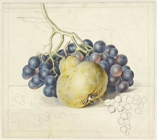 Nature morte avec raisins et une poire - Georgius Jacobus Johannes van Os