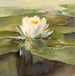 Nénuphar au soleil - John La Farge — weergave van het kunstwerk