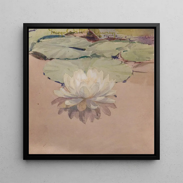 Nénuphar blanc - George Walter Dawson