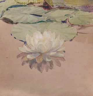 Nénuphar blanc - George Walter Dawson