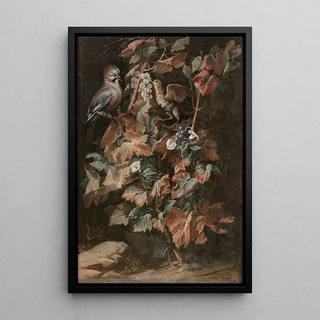 Nicola van Houbraken - Geai et tourneau sur un pied de vigne entour de liseron.webp