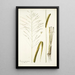 Panicum maximum - Nikolaus Joseph Freiherr von Jacquin — ingelijst kunstwerk aan de muur