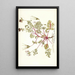 Pelargonium coriandrifolium - Nikolaus Joseph Freiherr von Jacquin — ingelijst kunstwerk aan de muur