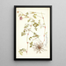 Pelargonium multicaule - Nikolaus Joseph Freiherr von Jacquin — ingelijst kunstwerk aan de muur