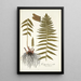Polypodium molle - Nikolaus Joseph Freiherr von Jacquin — ingelijst kunstwerk aan de muur