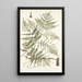 Pteris caudata - Nikolaus Joseph Freiherr von Jacquin — ingelijst kunstwerk aan de muur