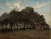 Le Bosquet - Nils Kreuger — weergave van het kunstwerk
