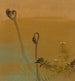 Nouvelles fougères - Shibata Zeshin — artwork view