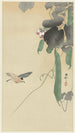 Bird on flowering bean plant - Ohara Koson — artwork view