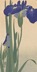 Iris Blue Painting - Ohara Koson — artwork view