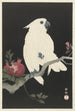 Cacatoès et grenade - Ohara Koson — artwork view