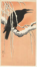 Crow on Snow-covered Branch - Ohara Koson — artwork view