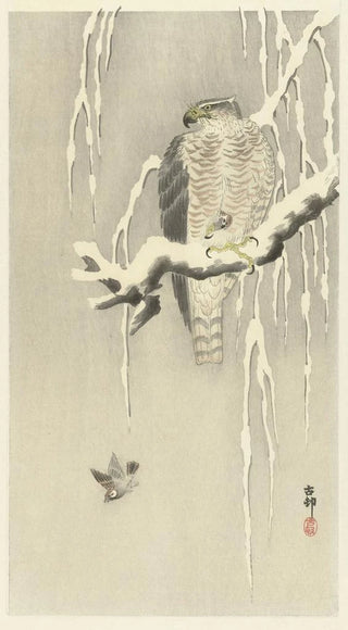 Ohara Koson - Hawk with captive tree sparrow.webp