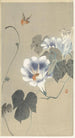 Insectes sur liseron - Ohara Koson — artwork view