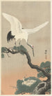 Japanese Crane Painting on Pine Branch - Ohara Koson — artwork view