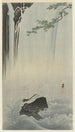 Japanese wagtail at the waterfall - Ohara Koson — artwork view