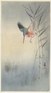 Kingfisher hunting fish - Ohara Koson — artwork view