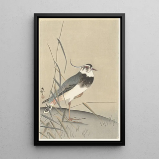 Ohara Koson - Lapwing and reed.webp