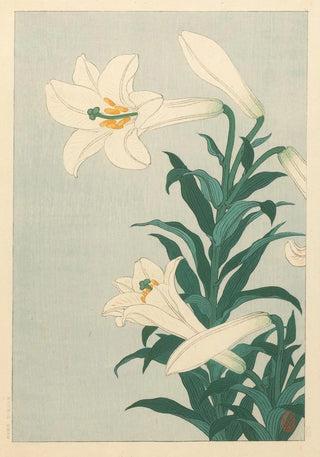Ohara Koson - Lilies.webp