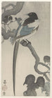 Pie sur une branche d'arbre - Ohara Koson — artwork view
