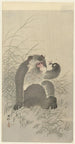 Monkey with Insect - Ohara Koson — artwork view