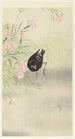 Waterfowl near a flowering plant - Ohara Koson — artwork view