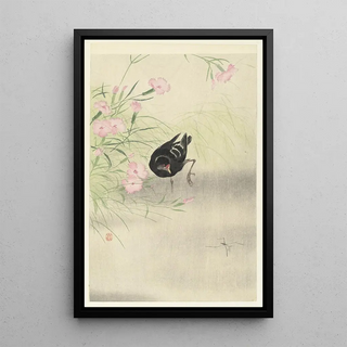 Ohara Koson - Moorhen at flowering plant.webp