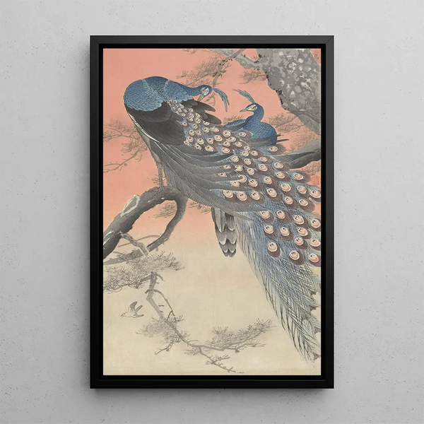 Ohara Koson - Two peacocks on tree branch.webp