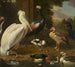 Waterfowl Painting Melchior de Hondecoeter - Melchior d'Hondecoeter — artwork view