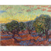 Reproductie van het schilderij olijfboomgaard, Saint-Rémy - Vincent van Gogh