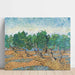 Reproductie van het schilderij Olijfboomgaard - Vincent Van Gogh