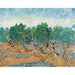 Reproductie van het schilderij Olijfboomgaard - Vincent Van Gogh