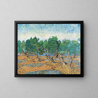 Olive Grove - Vincent Van Gogh