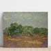 Reproductie van het schilderij Olijfbomen - Vincent van Gogh