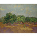 Reproductie van het schilderij Olijfbomen - Vincent van Gogh