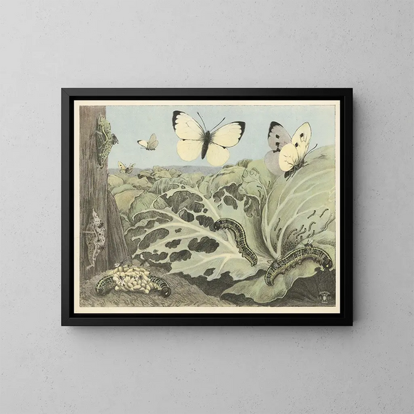 Vlinders van kool - Oluf August Hermansen — ingelijst kunstwerk aan de muur