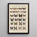 Exotic butterflies painting Pl089 - Otto Staudinger — framed artwork on a wall