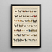 Exotic butterflies painting Pl091 - Otto Staudinger — framed artwork on a wall