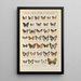 Exotic butterflies painting Pl092 - Otto Staudinger — framed artwork on a wall