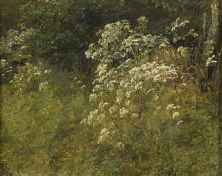 P C Skovgaard - Cow Parsley Study.webp