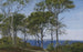 View through beech trees on a fjord - P. C. Skovgaard — artwork view