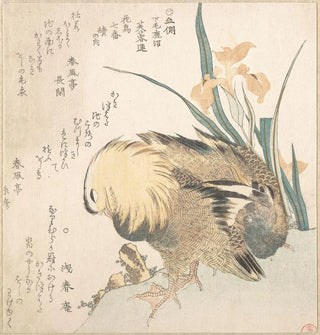 Paire de canards mandarins et fleurs d'iris - Kubo Shunman