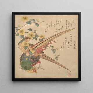 Paire de faisans chinois et une branche de fleurs yamabuki - Kubo Shunman