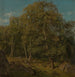 Deel van bos Skogsfjord Mandal - Amaldus Nielsen — weergave van het kunstwerk