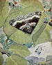 La Cidarie Moirée - Paul-André Robert — weergave van het kunstwerk