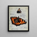 La Petite Tortue - Paul-André Robert — framed artwork on a wall