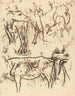 Dierenstudies - Paul Gauguin — weergave van het kunstwerk