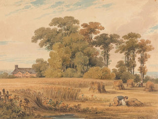 Paul Sandby Munn - A Cornfield.webp